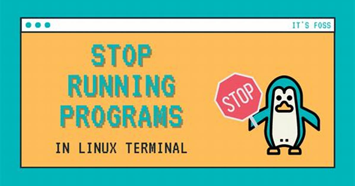 How to Stop a Program in Linux Terminal?