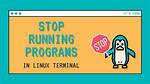 How to Stop a Program in Linux Terminal?