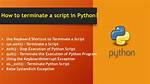 How to Stop/Terminate a Python Script from Running?