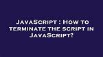 How to Terminate the Script in Javascript?