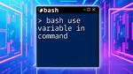 How to Use Bash $Variable Inside Cat