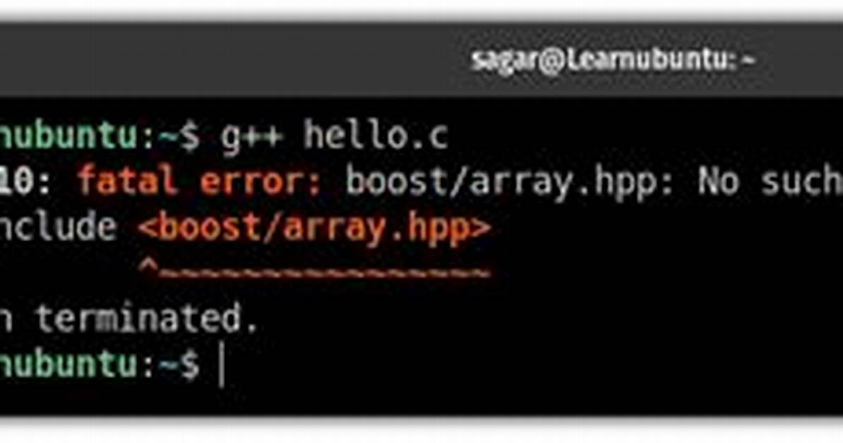 How to Use Boost: :Array with Unknown Size as Object Variable