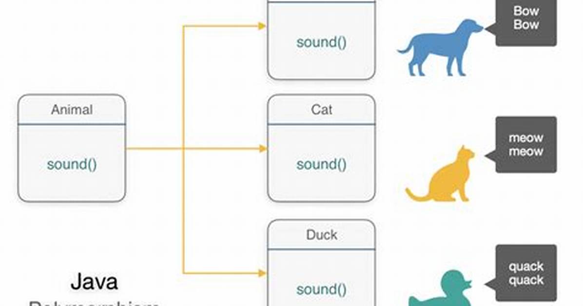How to Use Polymorphism?