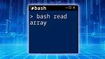 How to Use 'Readarray' in Bash to Read Lines from a File into a 2D Array