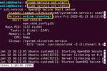 How to Use Ssh (Ssh & Rsync Commands)?