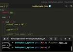 How to Use Sys. Exit() in Python