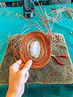 How to Weave Pine Needle Baskets
