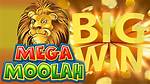 How to Win Mega Moolah?