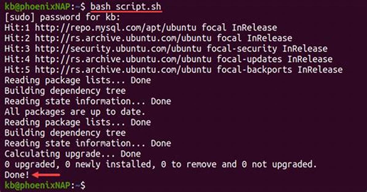 How to Write a Bash Script That Takes Optional Input Arguments?