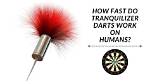 How Tranquilizer Darts Work?