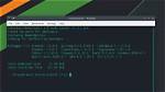How Update Vlc Linux Command Line?