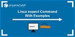 How Use Linux Expect?