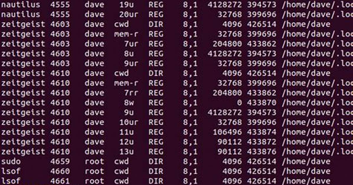 How Use Lsof Command in Linux?