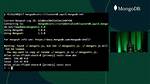 How Use Mongodb Command