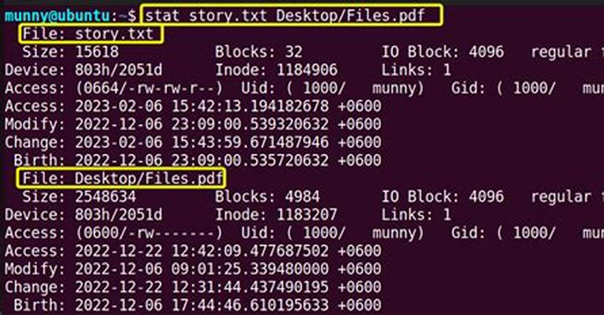 How Use Stat in Linux?