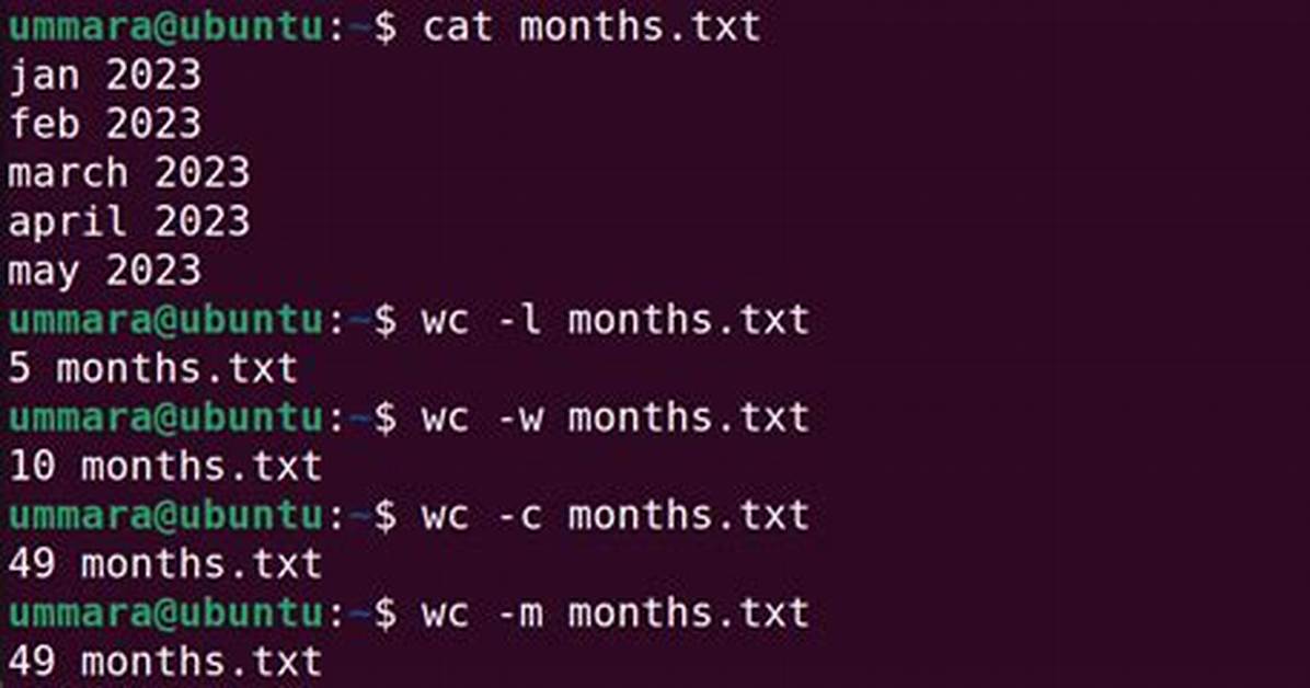How Use Wc in Linux?