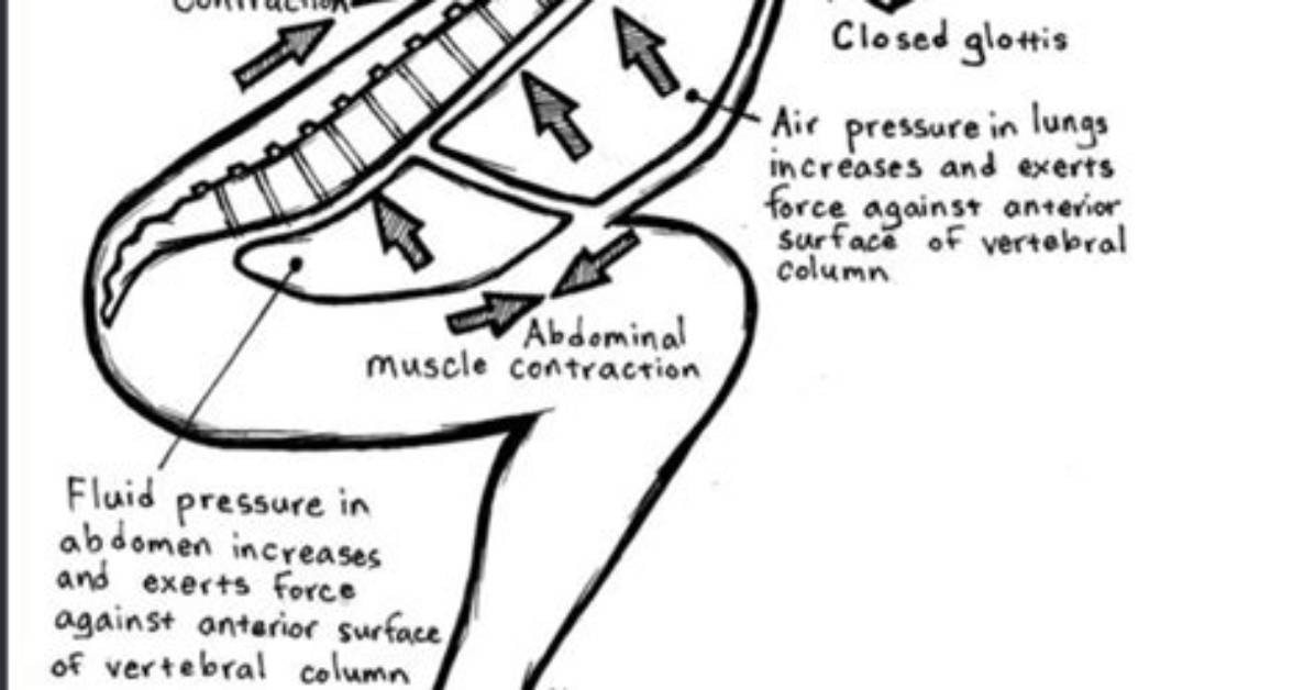How Valsalva Decrease Preload?