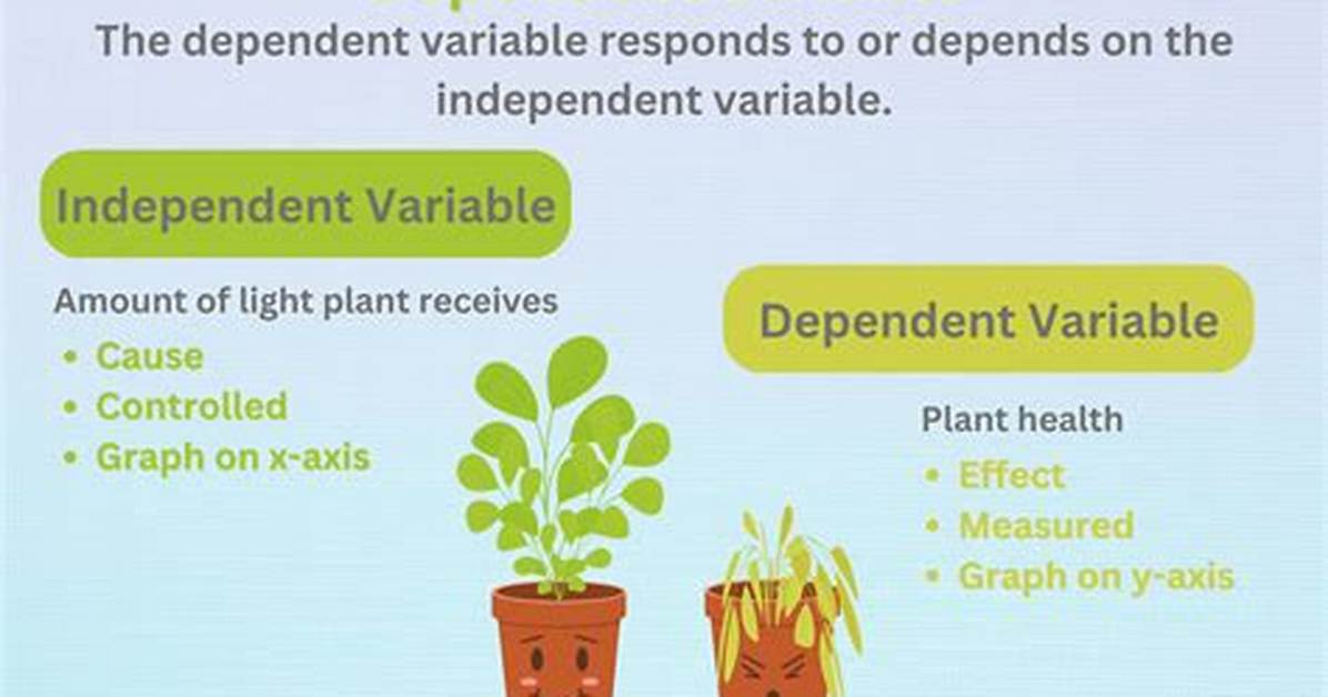How Was the Dependent Variable Measured?