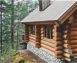 How Well Do Logs Insulate