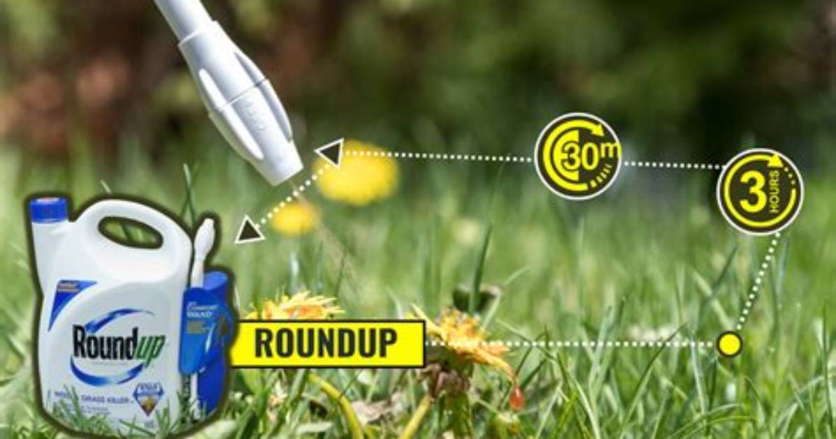 How Well Does Roundup Work