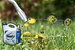 How Well Does Roundup Work