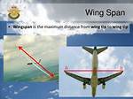 How Wingspan Affect Flight?