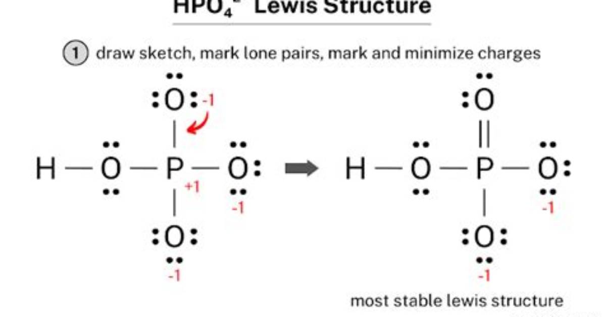 Hpo42