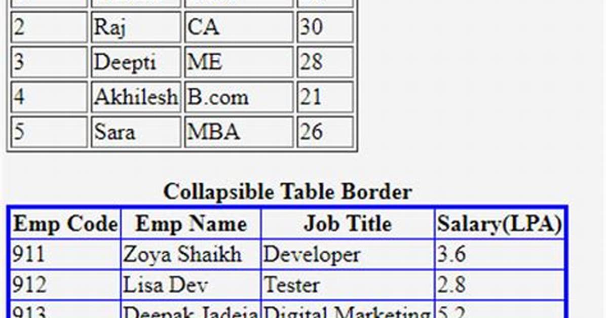 Html Border Only Outside the Table