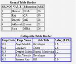 Html Border Only Outside the Table