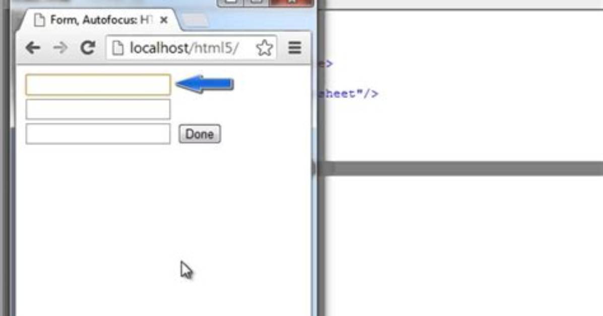 Html Form Autofocus