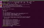 Https Connection Using Curl from Command Line