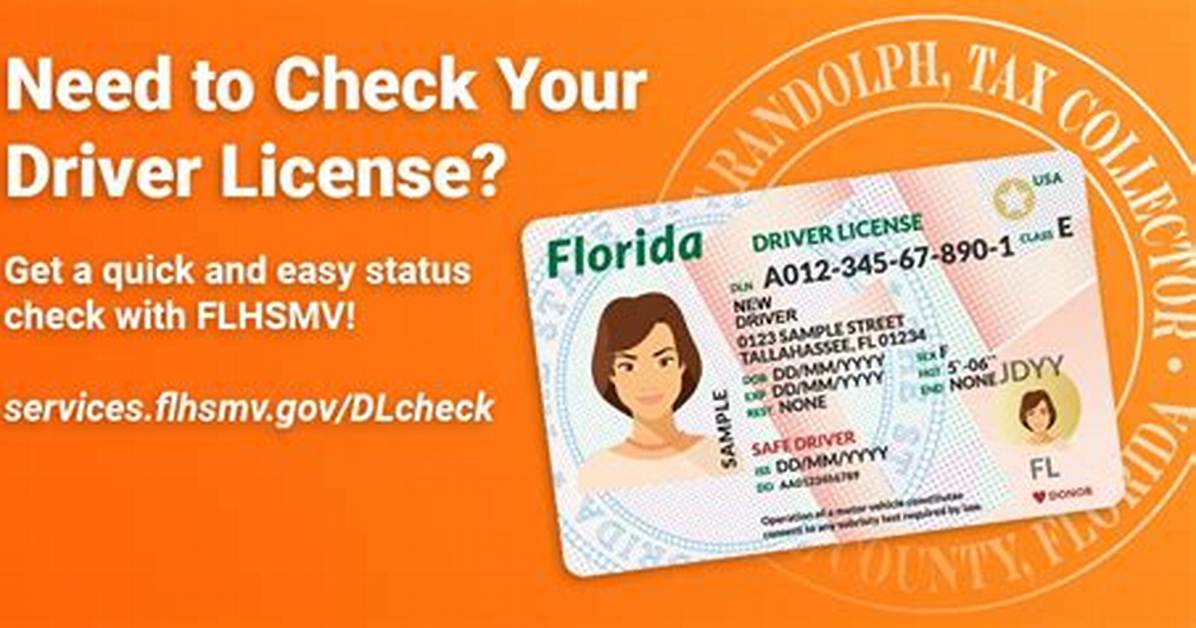 Https Services Flhsmv Gov Dlcheck