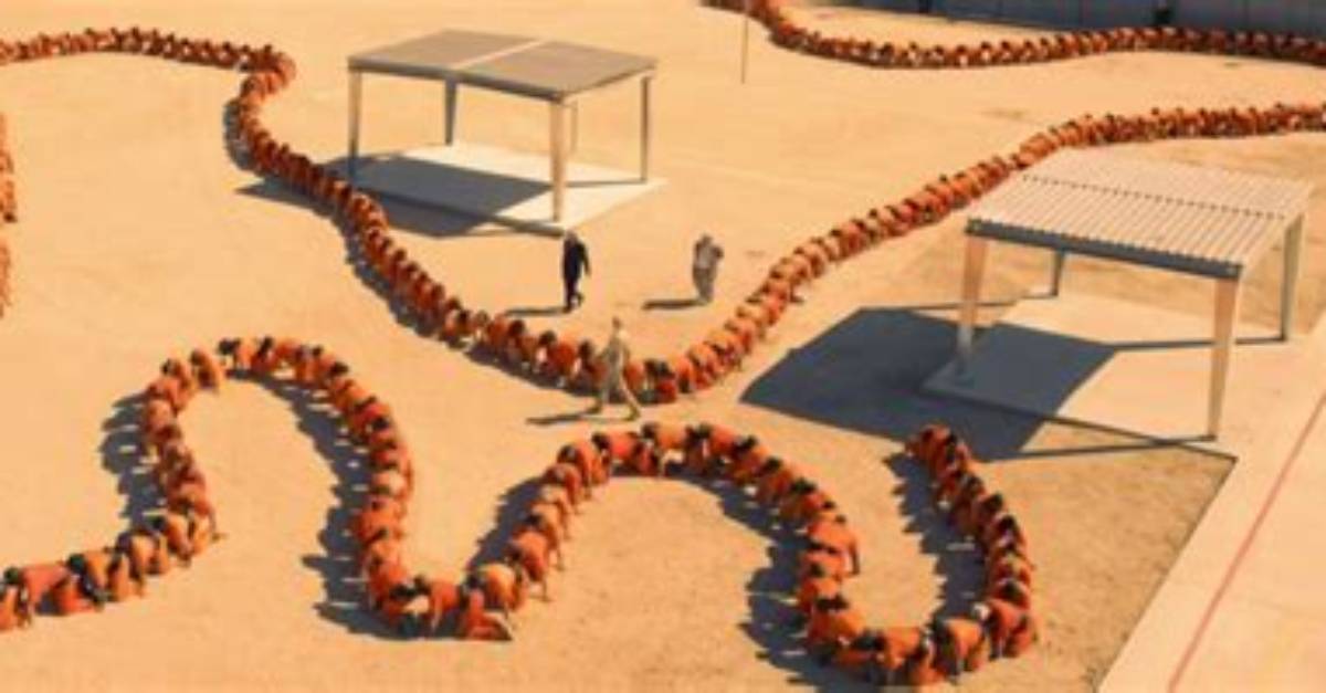 Human Centipede 4