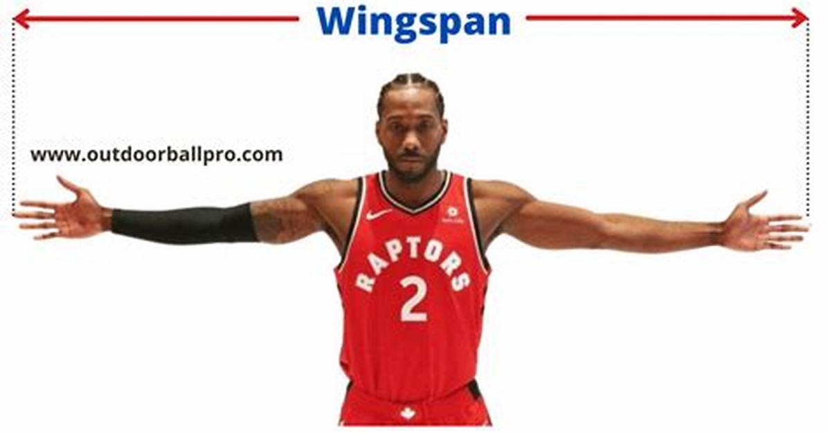 Human Wingspan