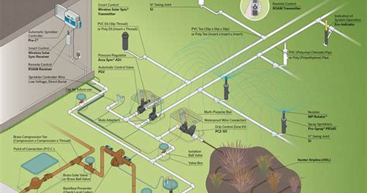 Hunter Irrigation System