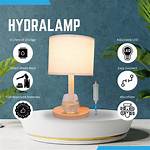 Hydra Lamp