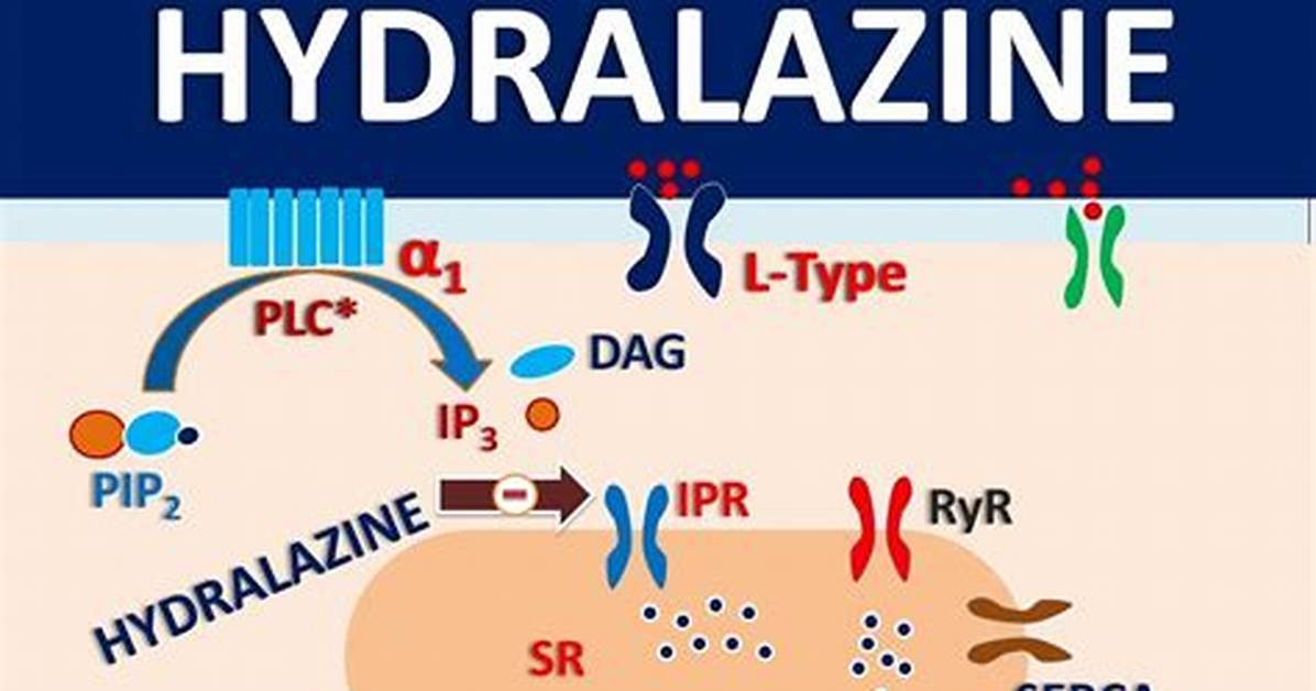 Hydralazine Classification