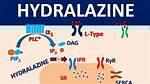 Hydralazine Classification