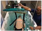 Hydrostatic Weighing
