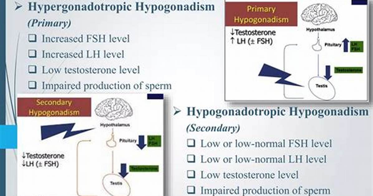 Hypergonadism