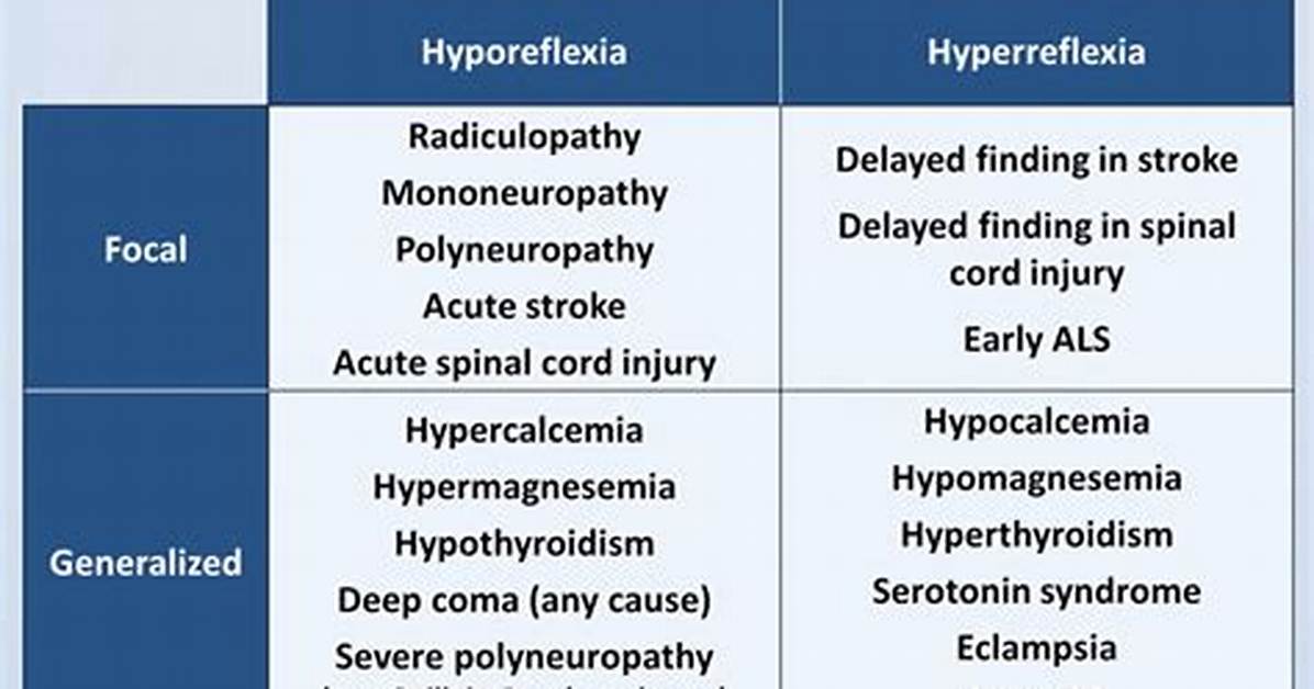 Hyperreflexia Causes