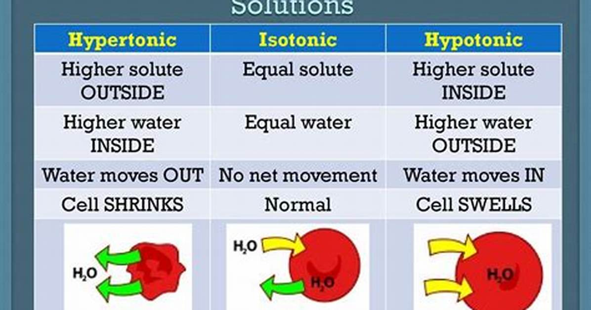 Hypertonic vs Isotonic