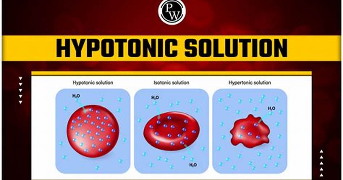 Hypotonic Example