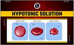 Hypotonic Example