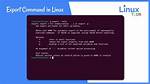 I Am Getting the Message "Export: Command Not Found" When Ever I Open Terminal