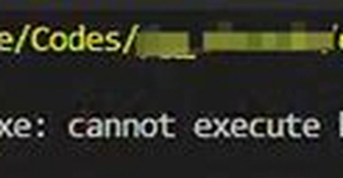 I'm Getting «Exec Format Error» When I Try to Run an Executable