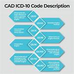 Icd 10 Code Cad