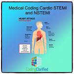 Icd 10 Code for Nstemi