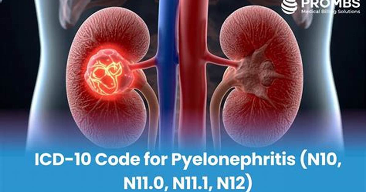 Icd 10 Code for Pyelonephritis