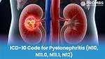 Icd 10 Code for Pyelonephritis